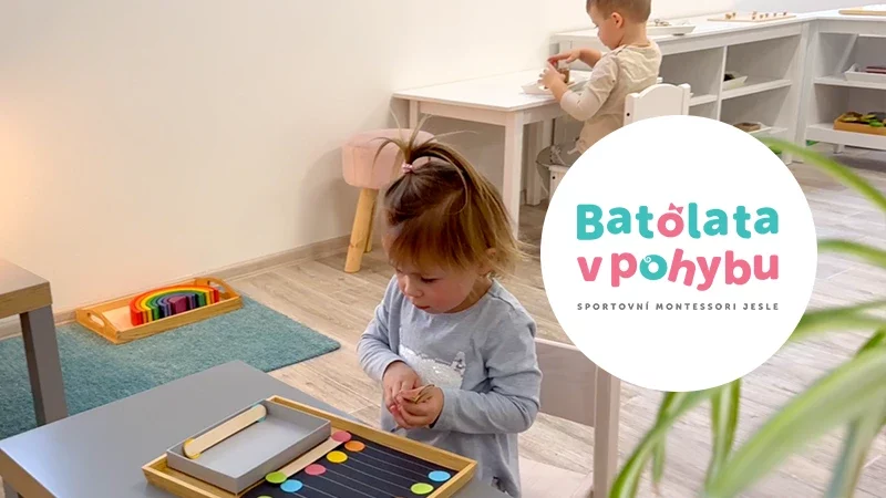 batolata-v-pohybu